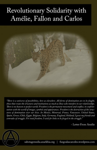 w-1-wp-112-import-1.png