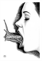 w-5-wp-561-import-1.png